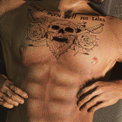 Barbe Roses